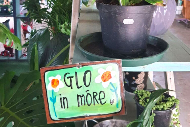 lavender post garden Centre Benoni - community photos 17