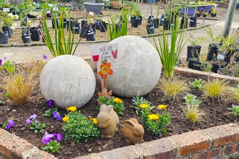 lavender post garden Centre Benoni - community photos 2-1