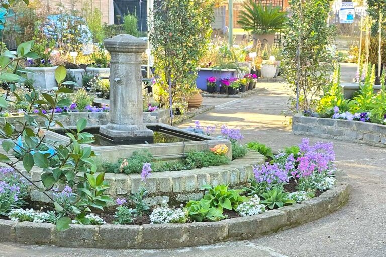 lavender post garden Centre Benoni - community photos 21