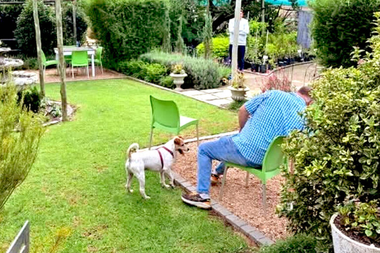 lavender post garden Centre Benoni - community photos 6